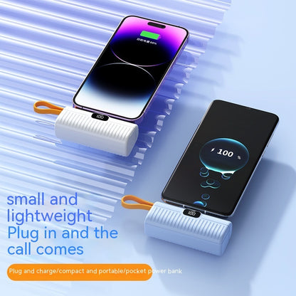 Portable Capsule Power Bank